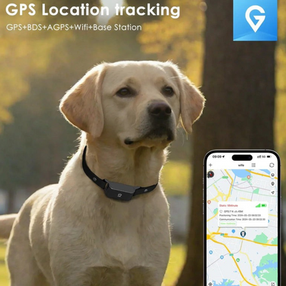 Collier GPS 4G Étanche pour Chien & Chat – Suivi en Temps Réel, Autonomie 7 Jours