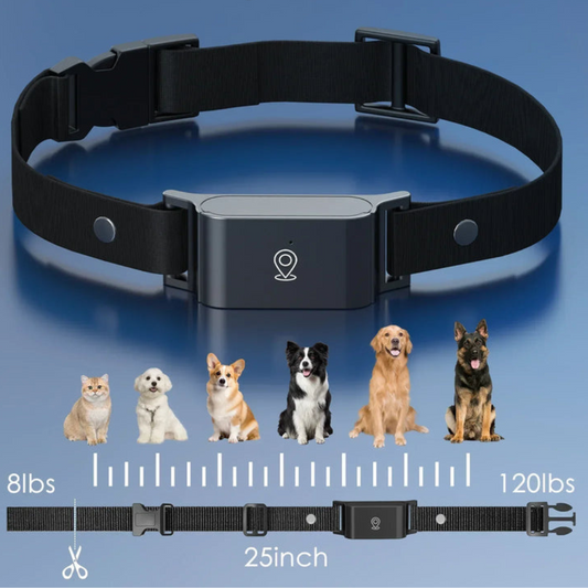 Collier GPS 4G Étanche pour Chien & Chat – Suivi en Temps Réel, Autonomie 7 Jours